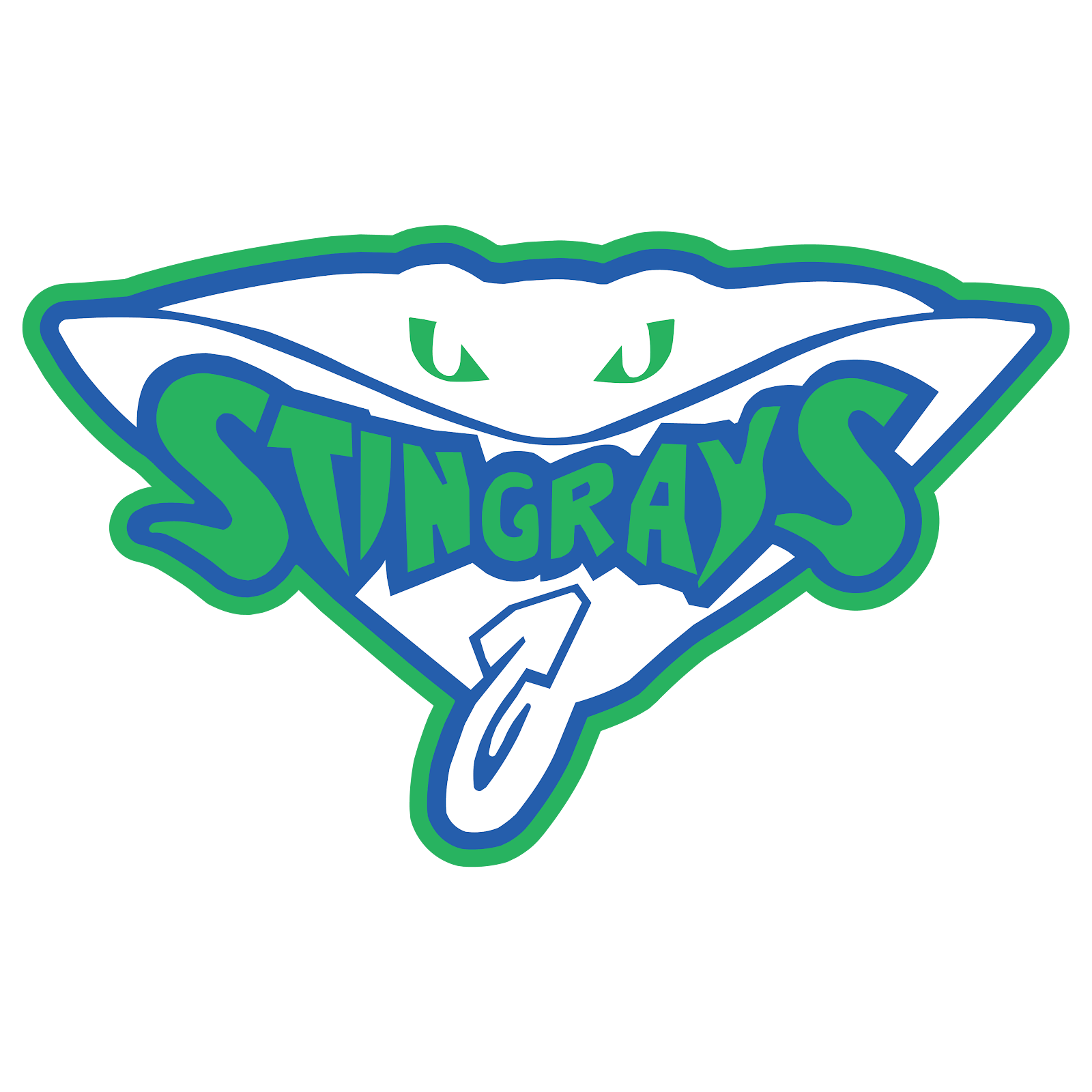 12. Stingrays
